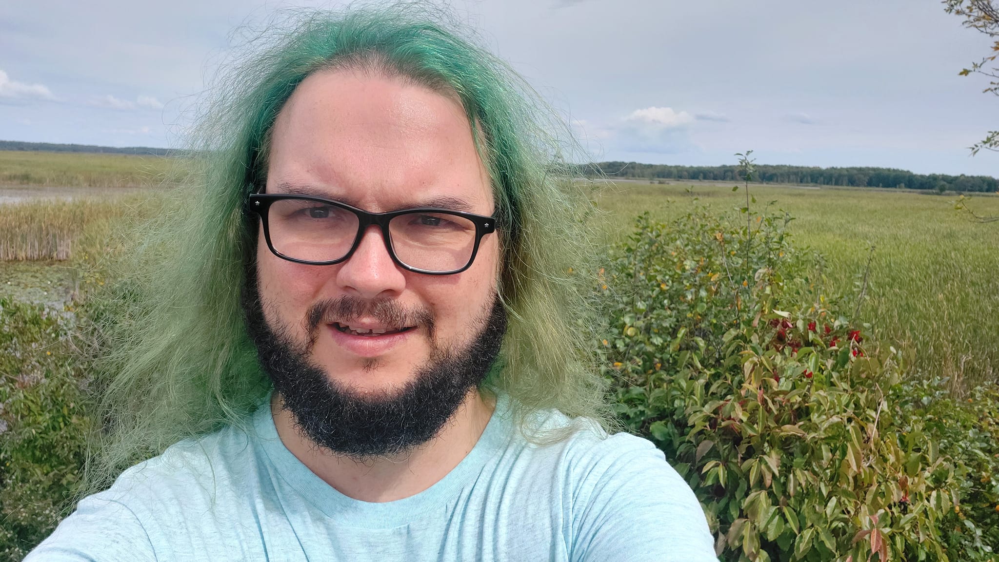 A man with green hair stands in front of a marsh, Photo 4